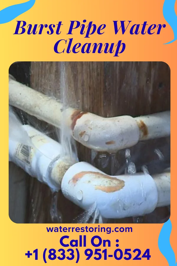 Burst Pipe Water Cleanup in Lowell, IA