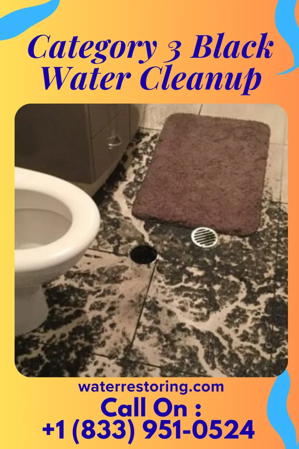 Category 3 Black Water Cleanup in Lowell, IA